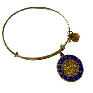 🛍 Alex and Ani Gold Tone Bracelet DC Navy Rare